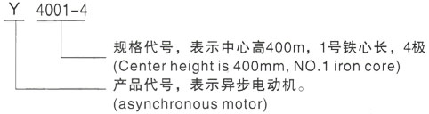 西安泰富西玛Y系列(H355-1000)高压Y6301-6/1600KW三相异步电机型号说明