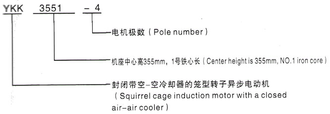 YKK系列(H355-1000)高压Y6301-6/1600KW三相异步电机西安泰富西玛电机型号说明