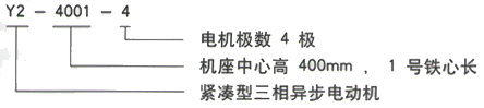 YR系列(H355-1000)高压Y6301-6/1600KW三相异步电机西安西玛电机型号说明